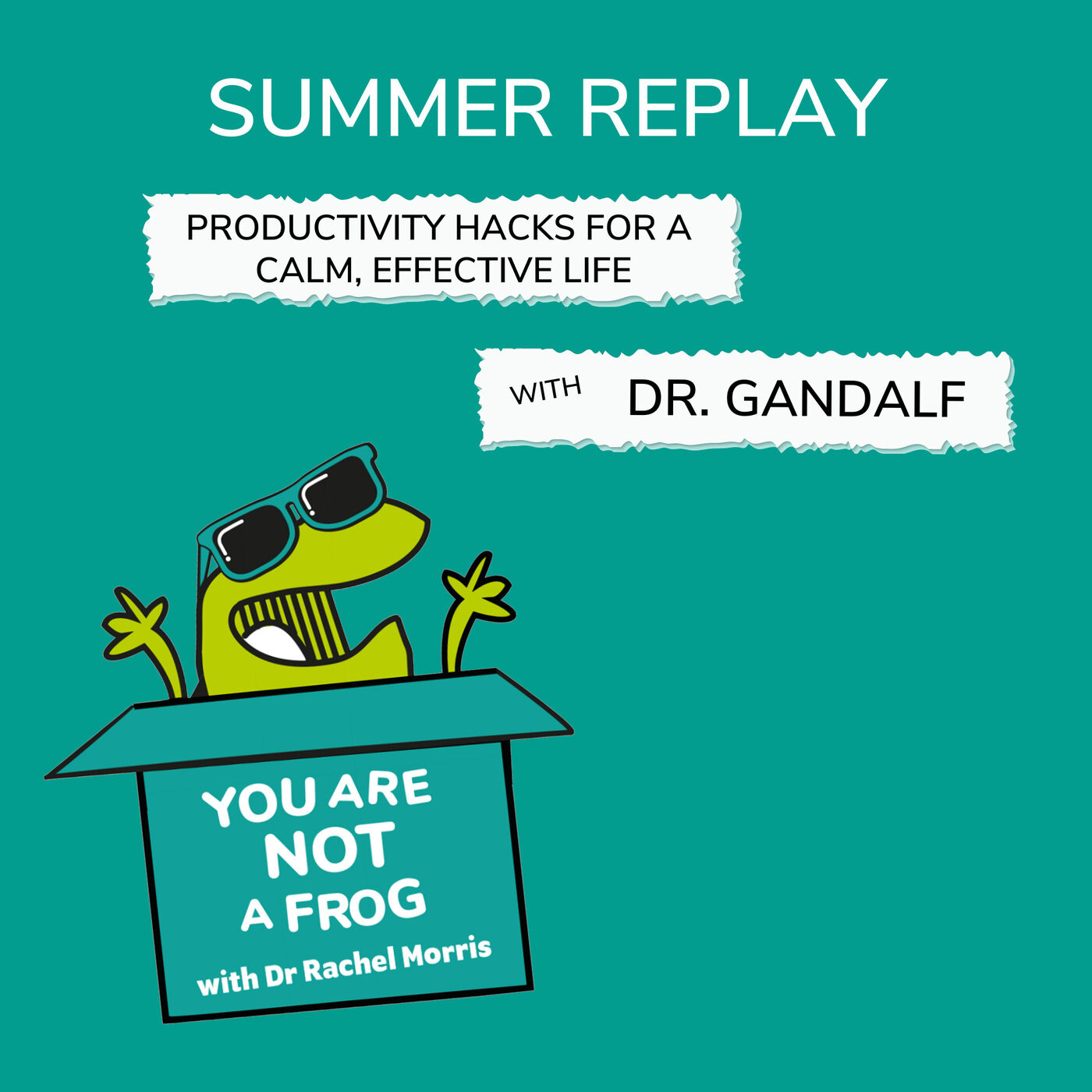 Summer Replay Series: Productivity Hacks for a Calm, Effective Life with Dr. Gandalf