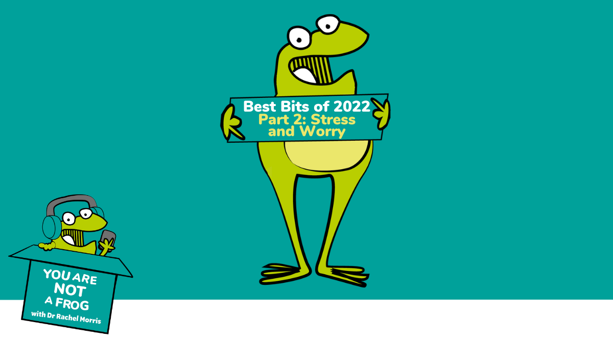 Best Bits of 2022: Stress and Worry