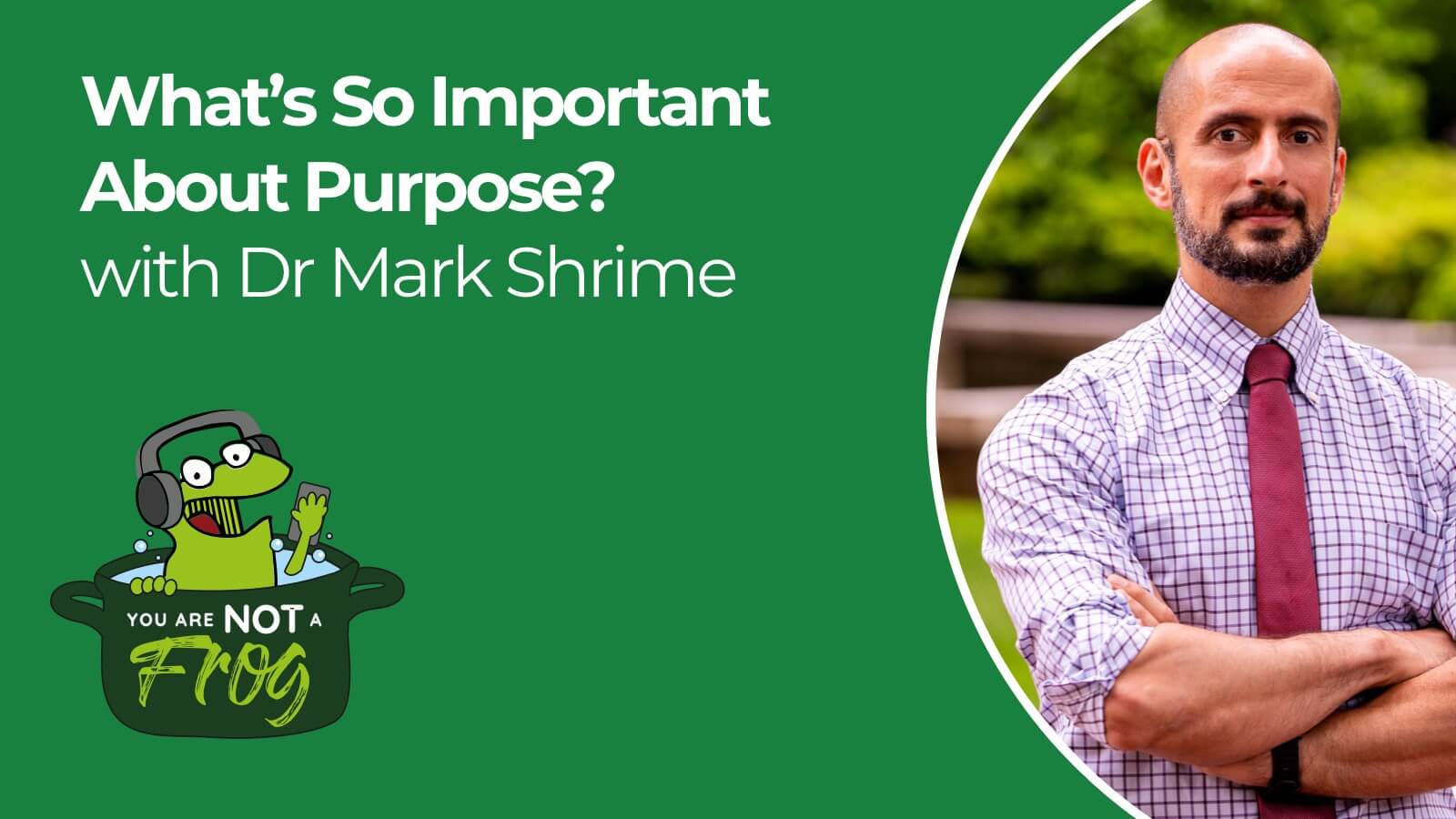 What’s so important about purpose?