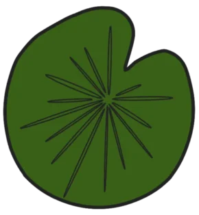 leaf